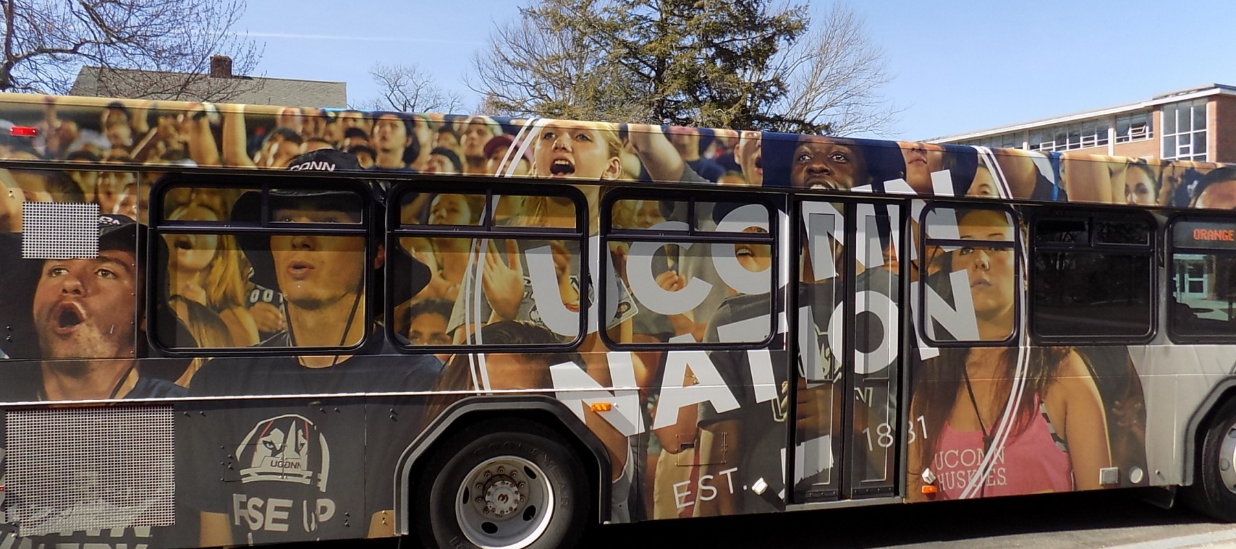 BBallBus