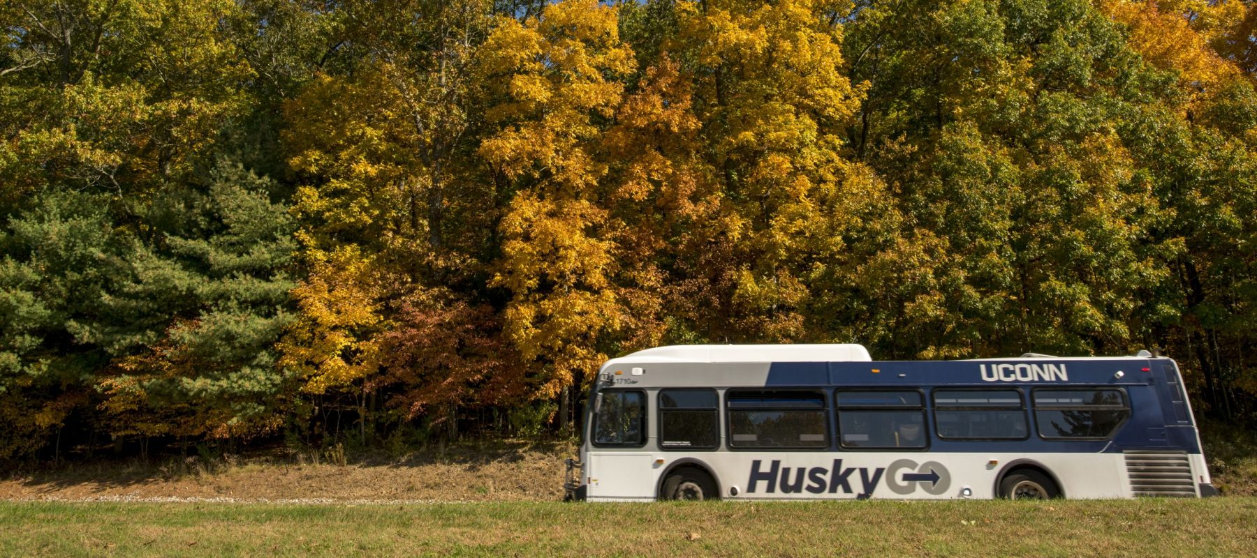 HuskyGo Fall